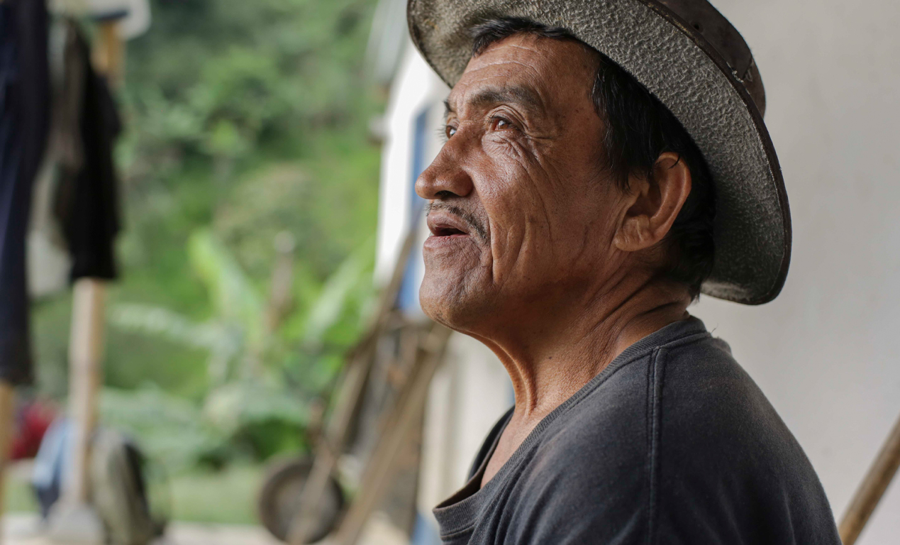 luisfinca_Redimensión